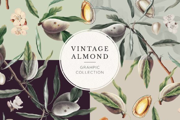 Vintage Almond Seamless Patterns: A Timeless Design Resource for Modern Creators