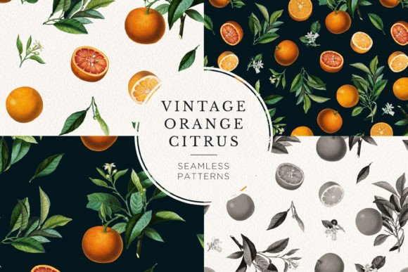 Vintage Orange Citrus Seamless Patterns: A Timeless Design Resource